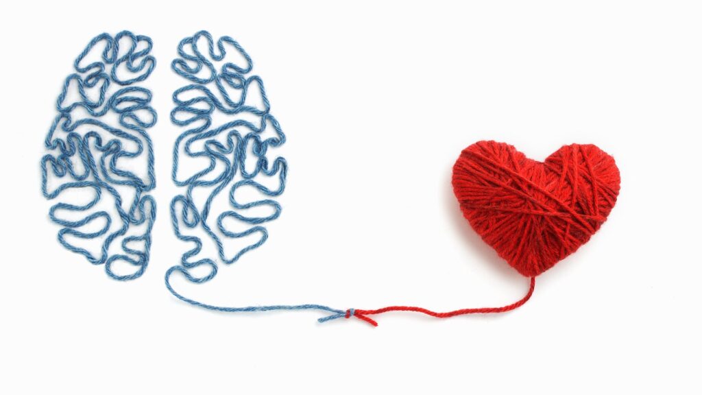 Heart and brain image made from coloured wool